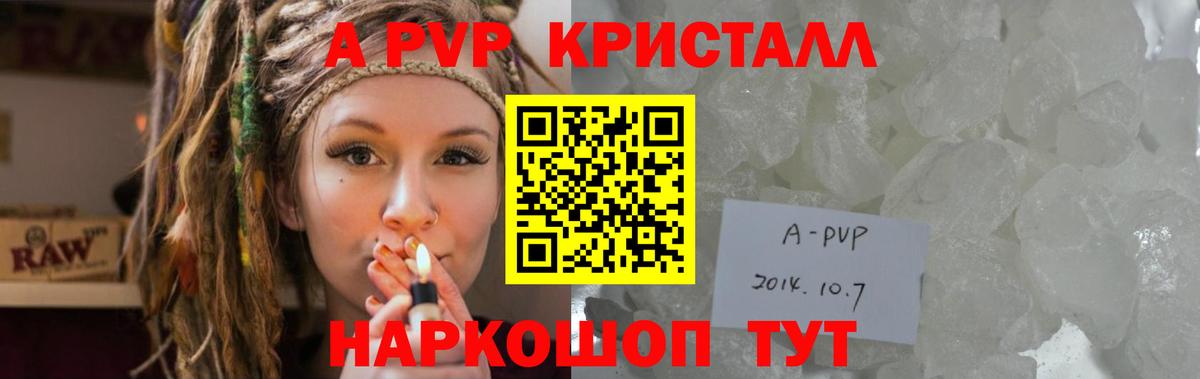 Альфа ПВП СК КРИС Вятские Поляны
