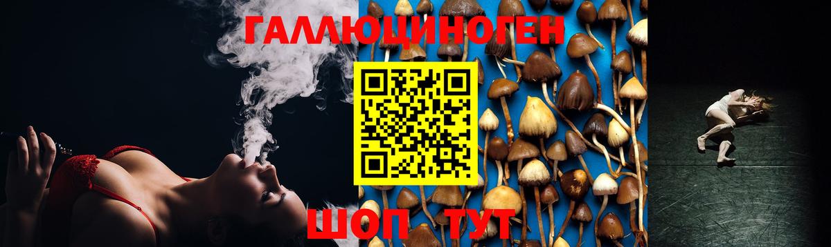 Псилоцибиновые грибы Psilocybe  Вход с VPN  Вятские Поляны 